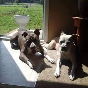 Meet your Posher, Leigh anne